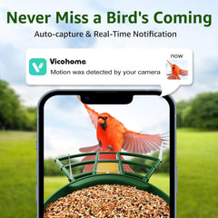 PeckCam AI bird ID identification highlights species with friendly app guidance.