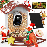 PeckCam smart bird feeder camera 2K live view for crystal-clear backyard birdwatching.