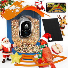 PeckCam Smart Bird Feeder camera 2K live view captures crisp backyard birds