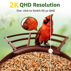 PeckCam solar panel bird feeder enhances battery life with sunset-to-sunrise operation.