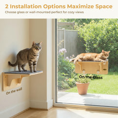 Pecute cat window perch with suction cups for secure wall or window use