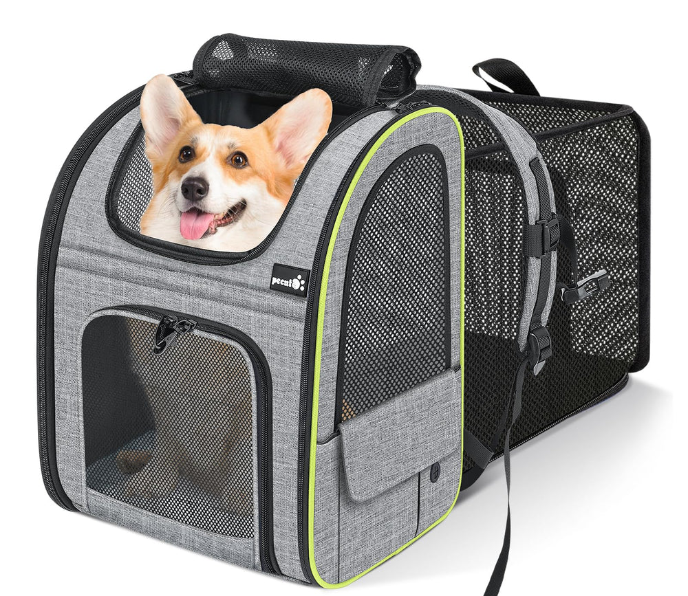 Pecute pet carrier backpack front view shows roomy interior for cats and small dogs.