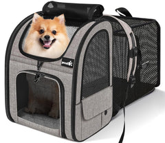 Pecute pet carrier backpack front view shows secure travel-ready design for cats and small dogs.