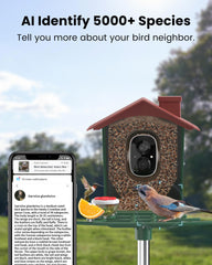 PEEIPM two way audio on bird feeder for remote talk