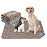 Peepeego 36x36 dog pads pack ready for potty training and containment.