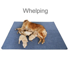Peepeego reusable pad folded for storage highlighting eco-friendly design