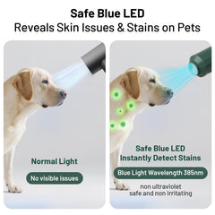 Pehum dog-cat hair-dryer blue LED aids safe, precise stain spotting during grooming