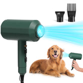 Pehum dog-cat hair-dryer front view shows compact design for quick small-pet grooming