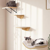 PELUMOZ curved lounger in natural wood for spine-supporting cat naps
