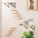 PELUMOZ cat wall shelves setup, a DIY feline playground ready for mounting.