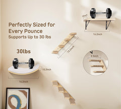 PELUMOZ cat wall shelves window perch—sunlit vantage point.