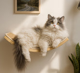 PELUMOZ curved cat wall hammock arc lounge view—elevated comfort for relaxed naps