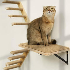 PELUMOZ strong cat shelves wall-mounted perch for climbing and lounging