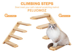 peluomoz natural pine shelves blend with decor and offer a cozy cat lounge