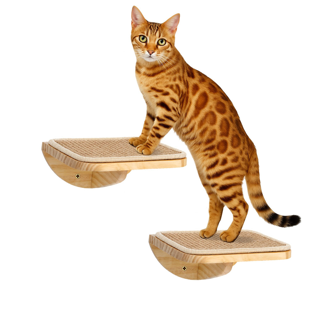 PELUMOZ wood cat wall shelves with sisal mat assembly for sturdy vertical play
