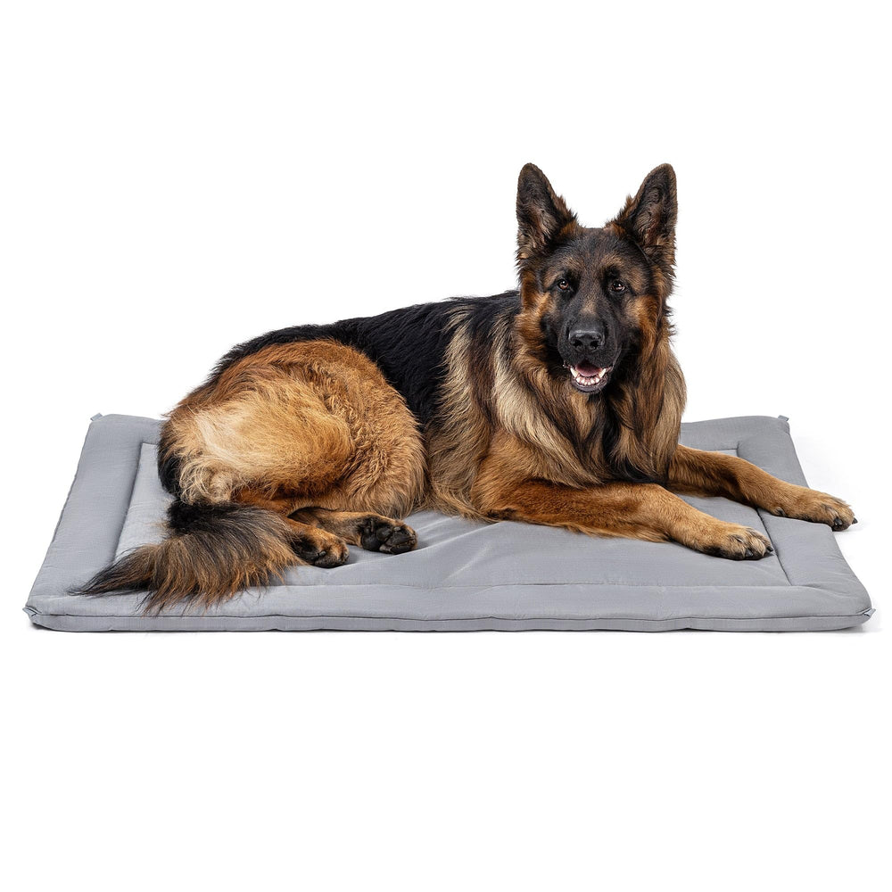 PELZIN Cybarmour crate pad inside crate offers secure, cozy rest for large dogs.