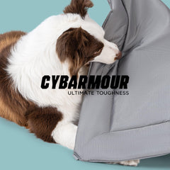PELZIN Cybarmour outdoor cooling mat stays cool during playtime.