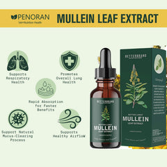 Penoran Pet Mullein Drops used with dog for lung health support.