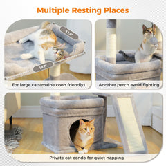 PEQULTI private condo provides a cozy retreat for focused cat downtime.