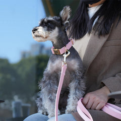 PET ARTIST pink 5ft leash for secure, comfortable strolls.