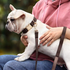 PET ARTIST 5ft PU leash in brown for smooth control during walks