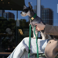 PET ARTIST 5ft PU leather leash enables secure control during walks.