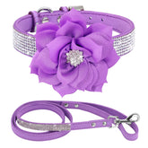 PET ARTIST collar con piedras brillantes para paseos deslumbrantes