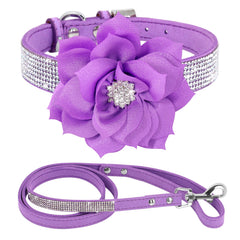 PET ARTIST collar con piedras brillantes para paseos deslumbrantes