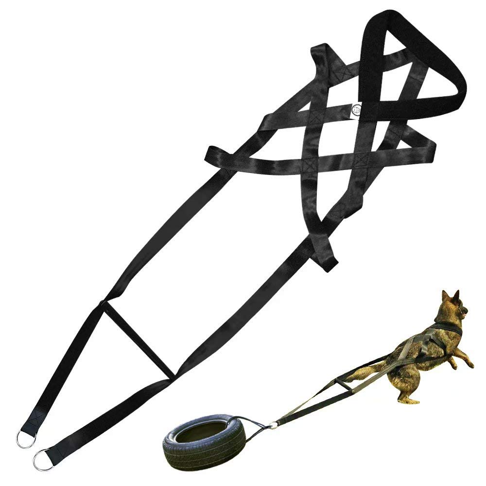 PET ARTIST dog sled harness with neck padding for comfort on large breeds.