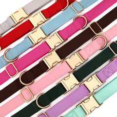 PET ARTIST large-neck 16-27in dog collar close-up shows bold durability for big breeds