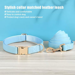 PET ARTIST blue collar close-up emphasizes durable alloy buckle for easy on/off