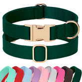 PET ARTIST soft PU leather dog collar in bright colors for daily walks