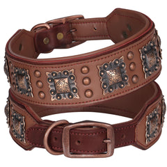 PET ARTIST padded leather collar with plush lining for comfortable neck during hikes