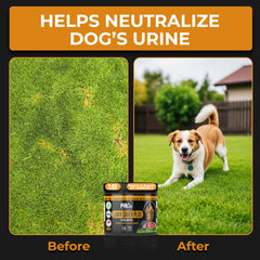 Pet Chef Nutrition spirulina Kona berry blend image suggests immune-supporting nutrition.