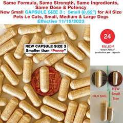 Pet Health Pharma Azovast Plus capsules ready for daily renal care