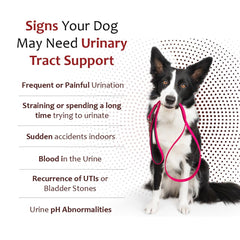 Pet Health Solutions K-Plus pork liver flavor tablets for dogs ease of administration.