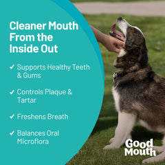 Pet HealthWorks Good Mouth chews chewy texture close-up highlights soft, easy-to-chew oral care.