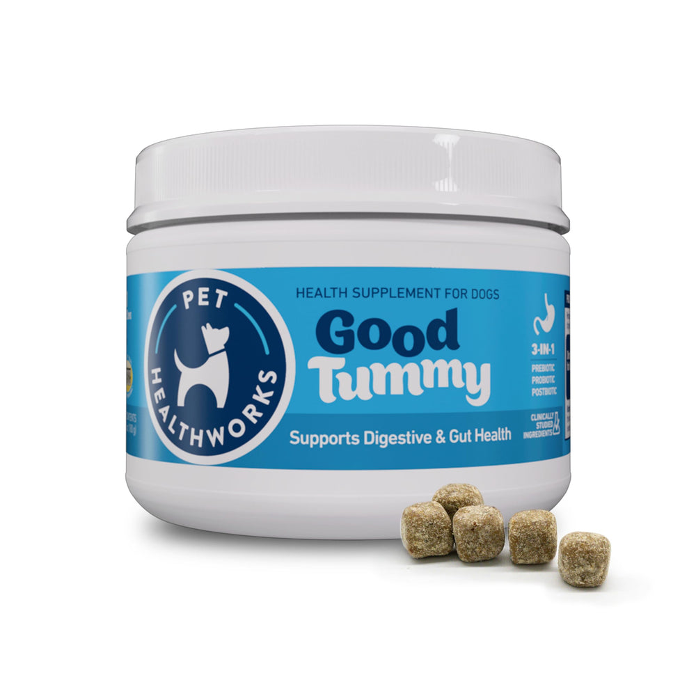 Pet HealthWorks Good Tummy probiotic chews beef flavor bottle showing convenient daily digestive support.