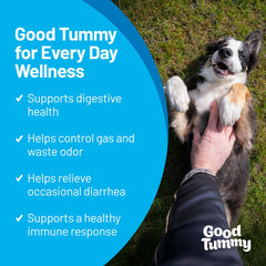 Pet HealthWorks Good Tummy chews texture closeup highlights soft bite for digestion.