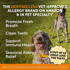 Pet Honesty allergy-support fresh dental sticks being chewed by a dog for plaque removal.