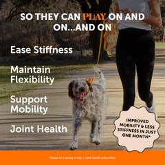 Pet Honesty dog mobility chews closeup highlighting tasty texture for daily use.