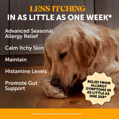 Pet Honesty dog scratching-relief chews illustrate itch relief for seasonal irritation.
