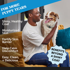 Pet Honesty dog skin and coat supplement serving on dish shows easy-topper use