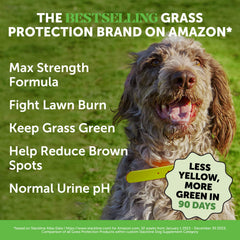 Pet Honesty Grass Green Max Strength chews in a bowl with duck flavor for daily digestion support.