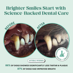 Pet Honesty herbal blend with mint and parsley offers fresh breath