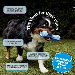 Pet Honesty Omega-3 bottle top highlights wild-caught origin for pet vitality.