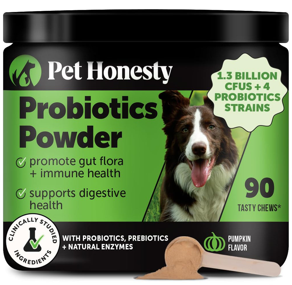 Pet Honesty probiotic pumpkin powder dog scoop for easy daily dosing and digestion support.