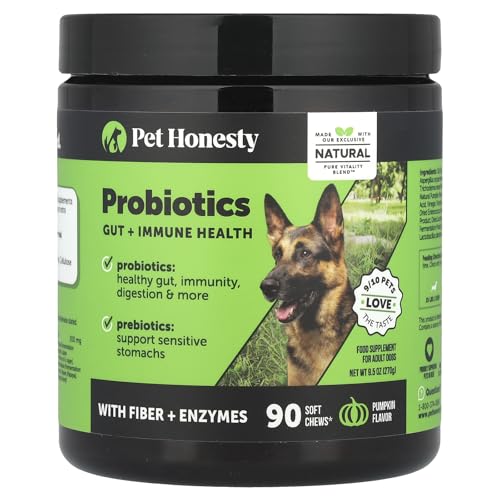 Pet Honesty probiotics for dogs soft chews close-up highlighting tasty flavor and gut support.