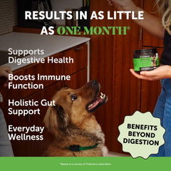 Pet Honesty probiotics for dogs address yeast concerns and itchy skin