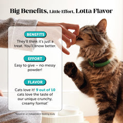 Pet Honesty Relajación en viajes para gatos, ideal en coche o avión